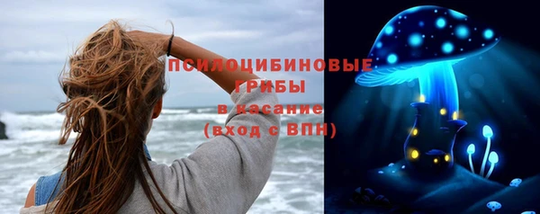 ПСИЛОЦИБИНОВЫЕ ГРИБЫ Приозерск